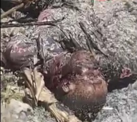 New savagery from HAITI,RIVAL GANG MEMBER BURNED ALIVE 