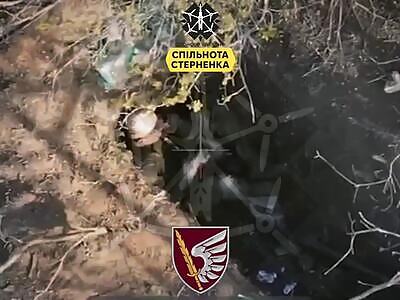 YAZS: With Entertaining Flourish