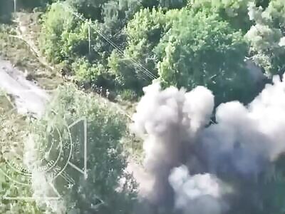 Ukranians fall like ants