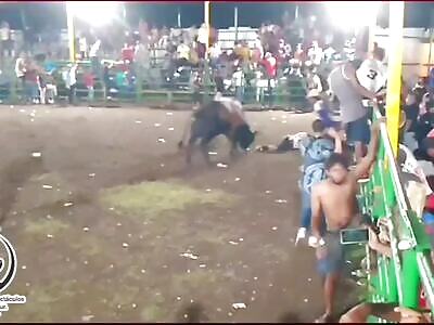 DAMN: Butally Torn Apart by an Angry Bull