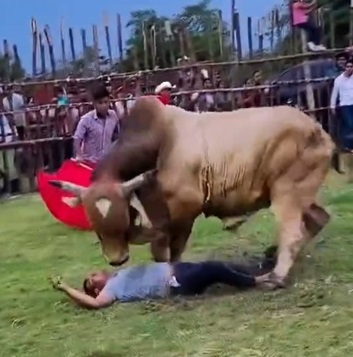 Man Stomped To Death By Bull in Tucta, Mexico
