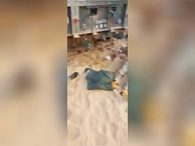 Some More Wagner Nazis Destroyed In Mali