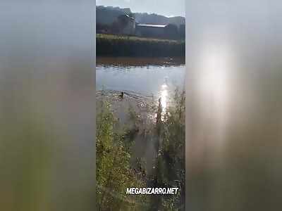 Young man loses his life while trying to swim across a river