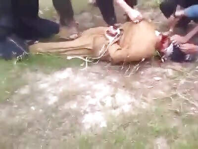 Man Beheaded by Terrorists in Pakistan