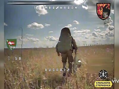 DRONES PLAYING WITH PEACEFUL NEIGHBOUR 