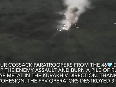 Ukraine War | Vaporized Russians Compilation (from August 1, 2024)