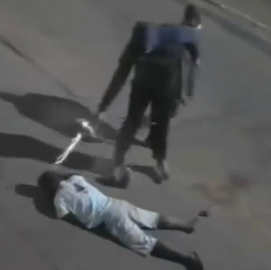 Dude Chased and Finished off With Headshots