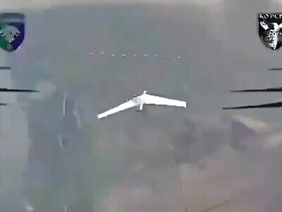 NEW LEVEL: UA FPVs hunt RU UAVs