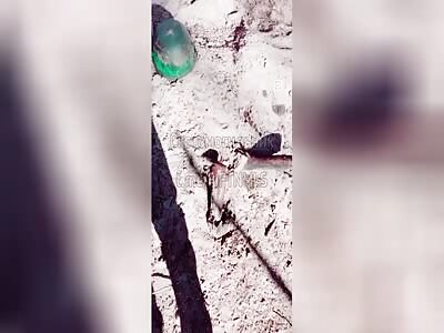 Brazilian mercenary finds a corpse that appears to belong to an alien