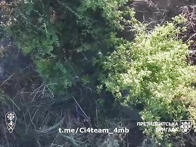 Russian was beaten like a rag doll