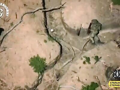 This orc made the only right decision in his life and shot himself