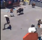 Bull Catching Wreck on Humans (Compilation)