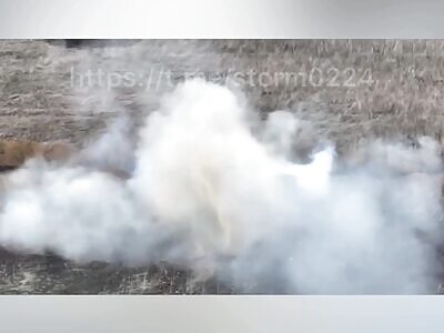 Mobile Shed Issued Demolition Order