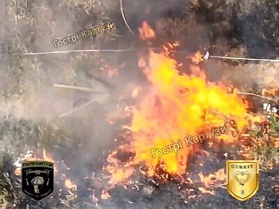  FPVs punish Russians brutally