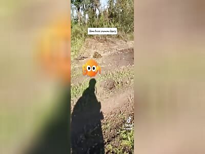 Road of Dead Russians