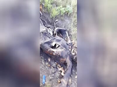 Dead Russians on every meter