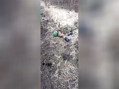 Katsap Summer Harvest Has Arrived