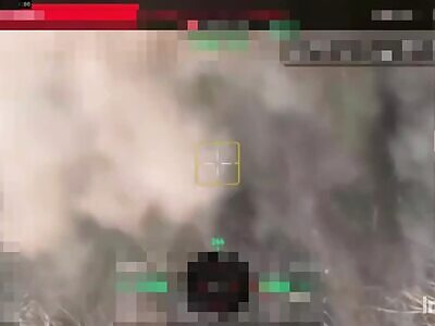 Authentic Meat Tartar Of The Russian World