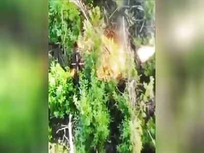 Wounded Ukrainian is Burned Alive