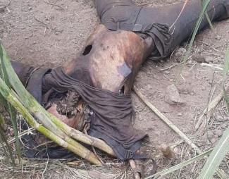 Rotten dead body of Colombia man found in forest 