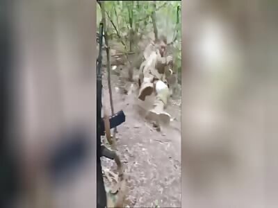 Russian soldier executes Ukrainian who refused to be captured