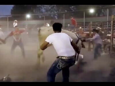 bull was extremely cruel to his victim