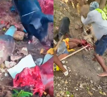 Savage Revenge On A Gang Member In Haiti