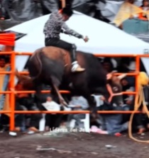 Bullfighter has Face Broken by Brutal Bull