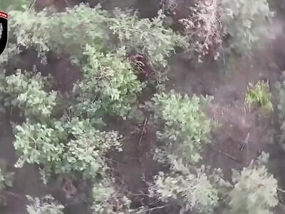 Super Hero Blyat Man Spotted