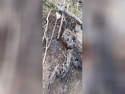 A bunch of rotten Russians