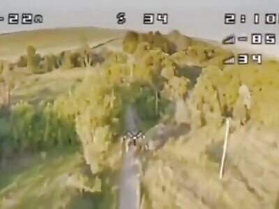 FPV HITS GROUP OF RUSSIANS