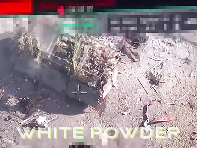 Turtle Tank Reveals Corpse Haul