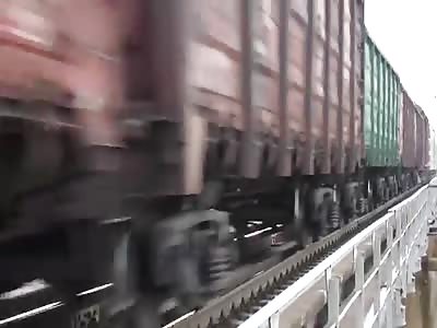 Train passes over a dog