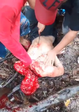 New Savage Execution By Traffickers