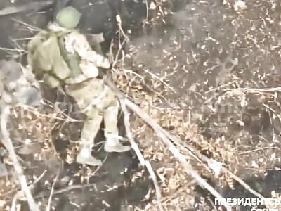 Dead Russians Comp II (November 14, 2024)