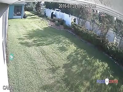 Cop Faceplants Through Fence During Foot Chase