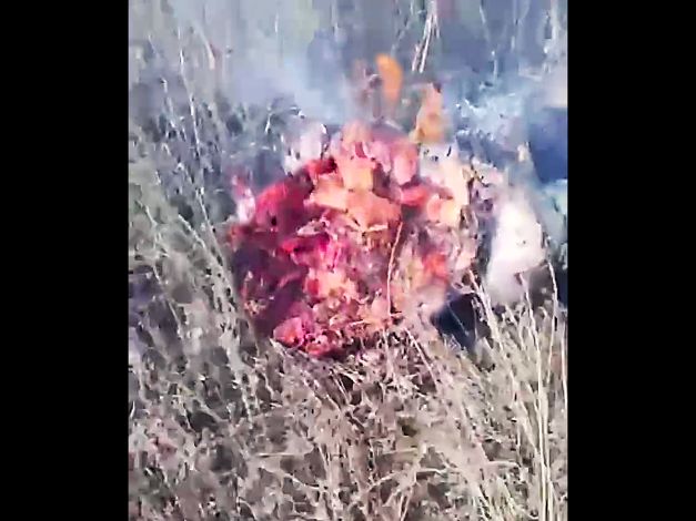  Officer Finds Charred 'Russian Fillets' near Camp Site