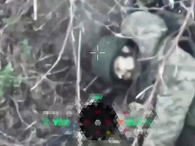 Mangled, torn and crispy Russians.