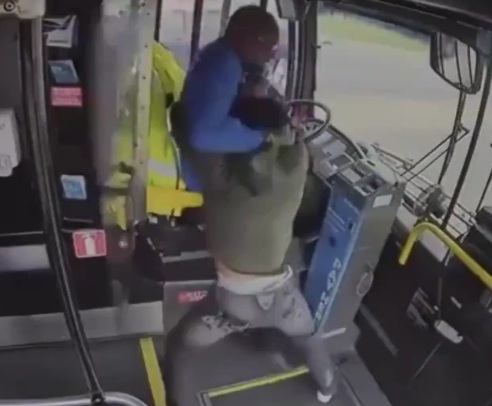 What IQ does a person have who attacks the driver of a moving bus?