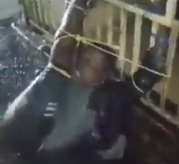 South African Pinata 