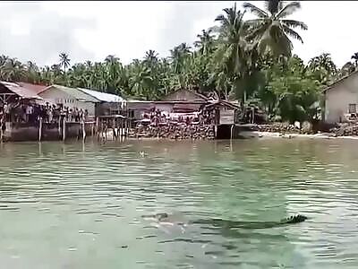 (Longer) Croc Grabs Woman and Drags her Under, Emerges Hour Later with Body. 