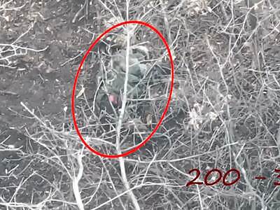 Jagga Jagga. 61 dead Russians in 1 night. Part 22.