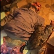 Delicious Owner: Man Becomes a Meal for his Pets