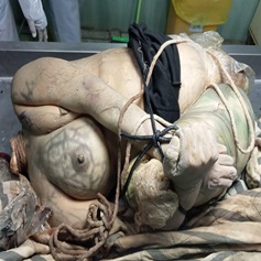 When You Forget Your Real Life Blow Up Doll in Forest.