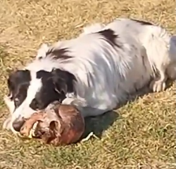 Mexico: Where You Can't Even Eat Lunch in Peace
