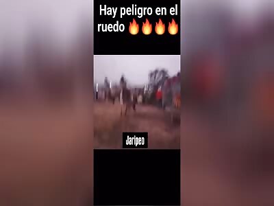 Bull from hell, trampled bullfighter like paper