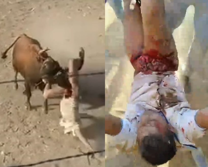 Man Gored to Death by Bull at Colombian Event (Full Version)
