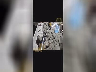 Flying killer dildo!