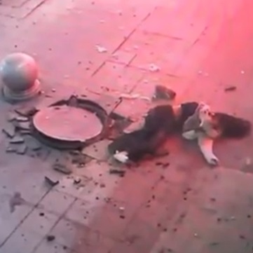 Girl Playing With Fireworks Pays Terrible Price (Full)