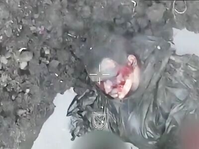 Beautiful liquidation of Russians